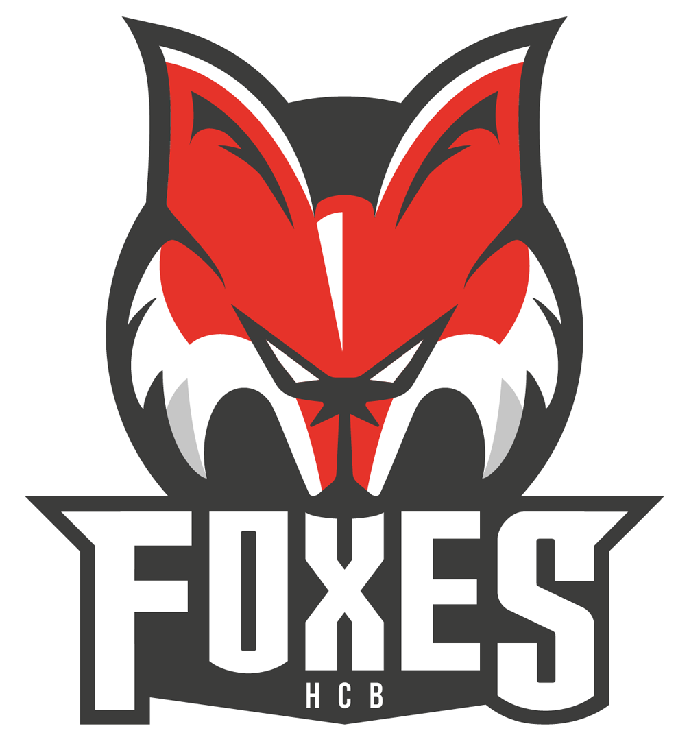 Bolzano-Bozen Foxes 2016-Pres Primary Logo iron on transfers for T-shirts